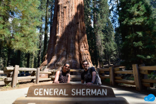 General Sherman