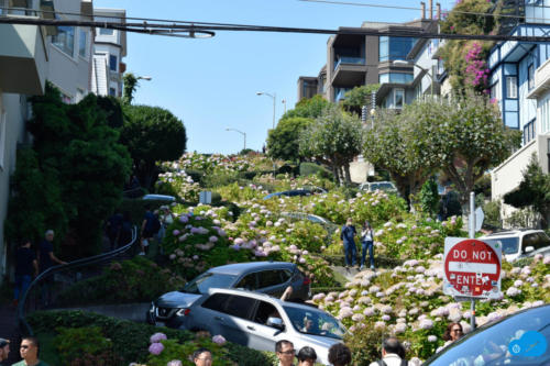 Lombard street - Crooked street