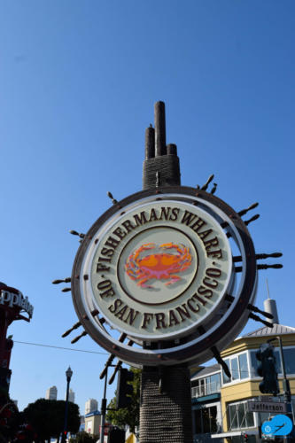 Fisherman Wharf 