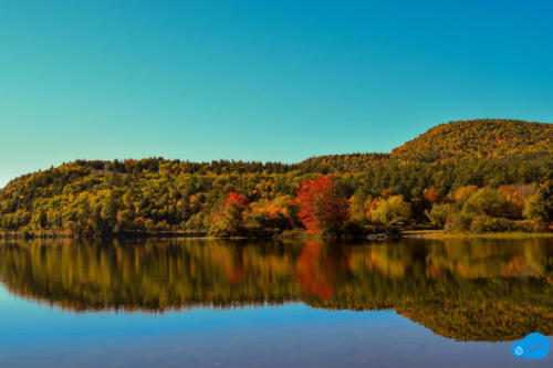 Reflection