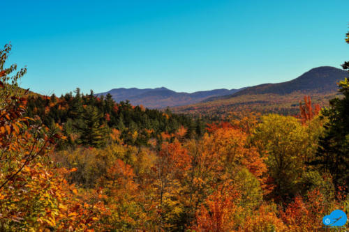 Mountain during Fall