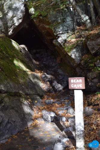 Bear Cave