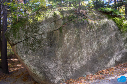 Glacial Boulder