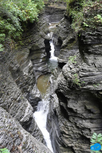 Watkins Glen Gorge