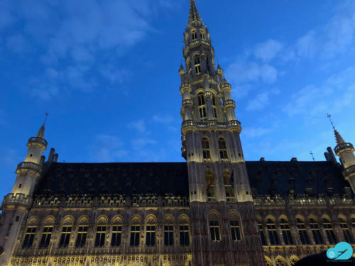 Brussels: Grand Place at night